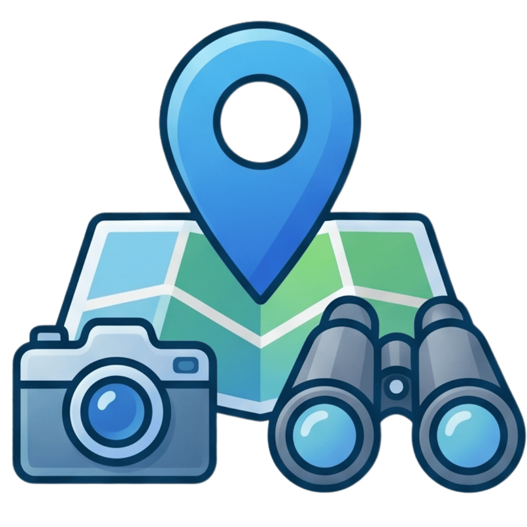 Tours and Activities